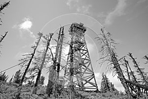 Black and White Black Butte Tower in Trees