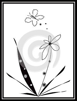 Black And White Butterfly Design