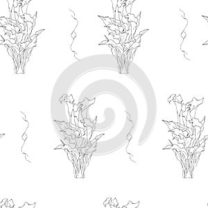 Black and white calla flower seamless pattern, ink drawn floral bouquets on white background, vector illustration