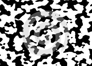 Black and white camouflage