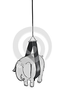 Heavy Hoisted Elephant photo