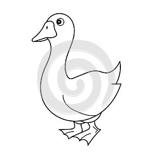Black and White Cartoon Vector Illustration of Funny Goose Farm Bird Animal