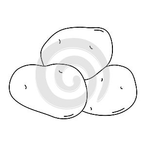 Black and white cartoon vector illustration of potato for coloring book. Ripe fresh vegetable for cooking