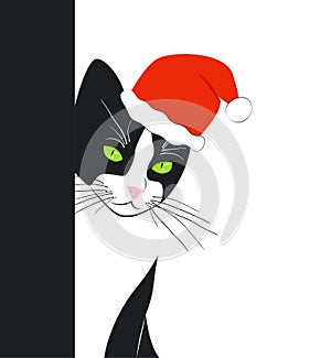 Black and white cat in christmas hat