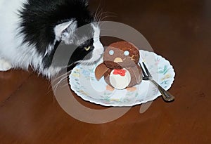 Black And White Cat With Penguin Dessert Cake