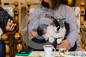 Black and white cat resting on a young girl's lap in a cafe.