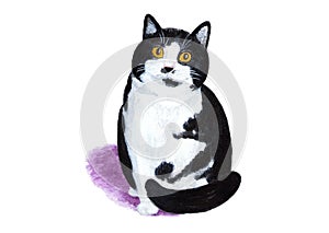 Black and white cat on a white background. Watercolor illustration.