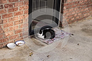 A black and white cate sleeping outside on the door mat