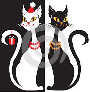Black and white cats