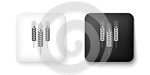 Black and white Cereals icon with rice, wheat, corn, oats, rye, barley icon isolated on white background. Ears of wheat