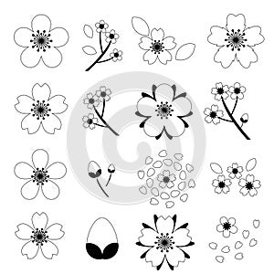 Black and white Cherry blossom Sakura icon set isolated on white background