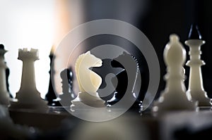 Black and white chess on chessboard.