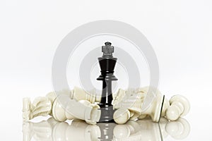 Black and White of Chess on white background . Leader and teamwork concept for success