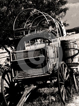 Black & White Chuck Wagon