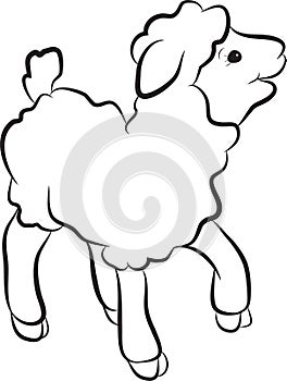 Black and White Clipart Sheep photo