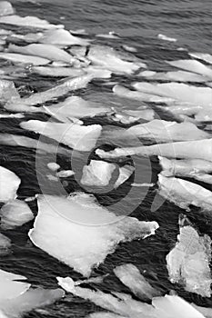 Black and white close up of bergy bits in calm ocean water