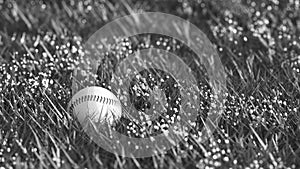 Black and white close up shot of old baseball lying in the grass with shallow depth of field