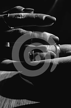 Black and white close-up of women\'s fingers with stylish silver and white gold rings.