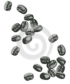 Black and white coffee beans on a white background for your packages and designs