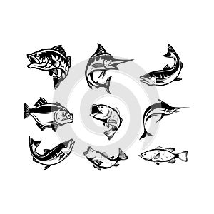 Black and white collection fish set vector