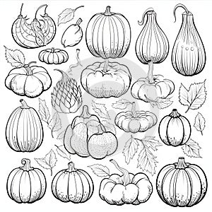 Black and White coloring book silhouettes of vegetables, fruits leaves. Pumpkin as a dish of thanksgiving for the harvest, picture