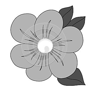 Black and white coloured flower with leaves