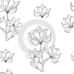 Black and white contour magnolia flowers hand-drawn seamless pattern. Vector floral background for wallpaper and paper