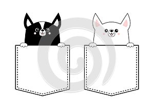 Black white corgi dog set. Face head icon in the pocket. Hands paw. Cute cartoon pooch character. Contour silhouette. Kawaii anima