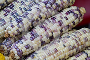 Black and white corn boil