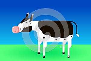 Black and white cow on a grassfield
