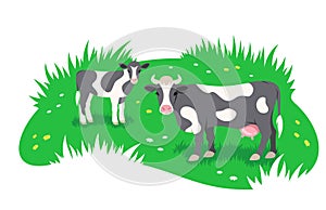 Black and white cow with little calf grazing in green meadow flat banner