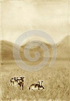 Black and white cows in a grassy meadow in The Netherlands. Rural Landscape with Pasturing Cows. Dairy animals at field.