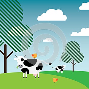 Black and white cows grazing in pasture
