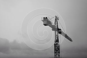 Black and white cranes.