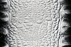 Black-white crocodile skin texture