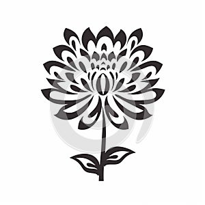 Black And White Dahlia: Meticulously Detailed Personal Iconography