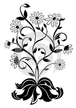 Black and white daisy wheel