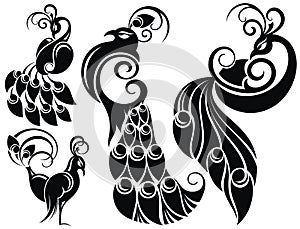 Decorative Peacock set