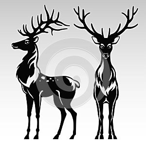 Black and white deers
