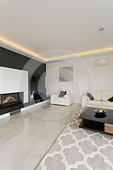 Black and white designed interior