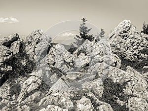 Black and white detail with a rocky mountain top in Carpathian mountains