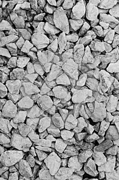 Black & White Detailed rock ground texture