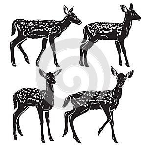 Black and white detailed silhouettes of young baby deer