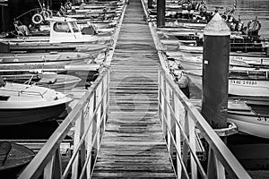 Black and white dock in Pobra