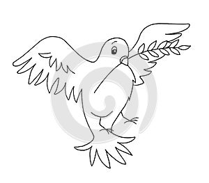 Black and white - dove