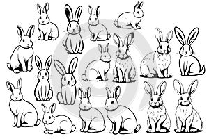 A black and white drawing of a group of rabbits