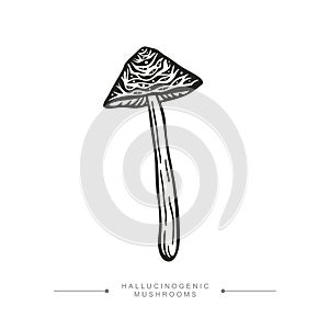 Black and white drawing of a magical surreal hallucinogenic mushroom. Toxic Fantasy Pslocybin Mushroom. Vector illustration