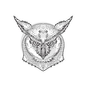 Head of Angry Great Horned Owl Tiger Owl or Hoot Owl Front Black and White Drawing photo
