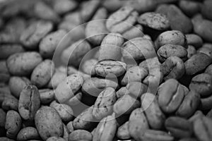 Black and White Dry Arabica Typica Kopi Lintong Beans