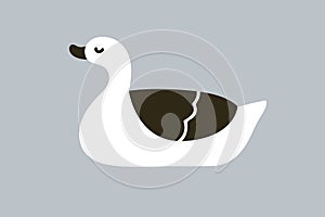 Black and white duck in doodle Scandinavian style. Cute adorable bird floating. Water animal, poultry, side view. Scandi